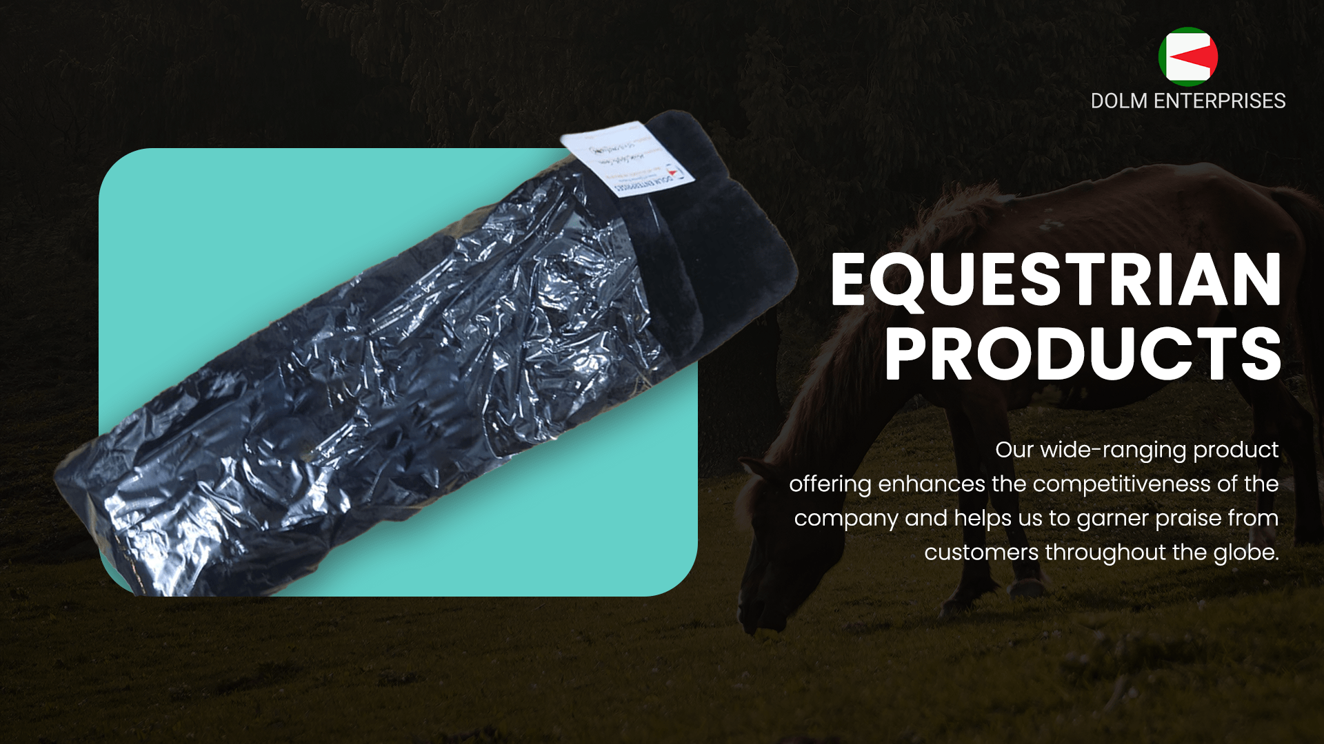 DOLM Equestrian Products | High Quality Products